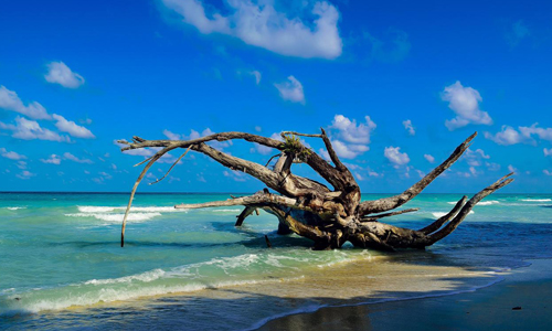 Scenic beach